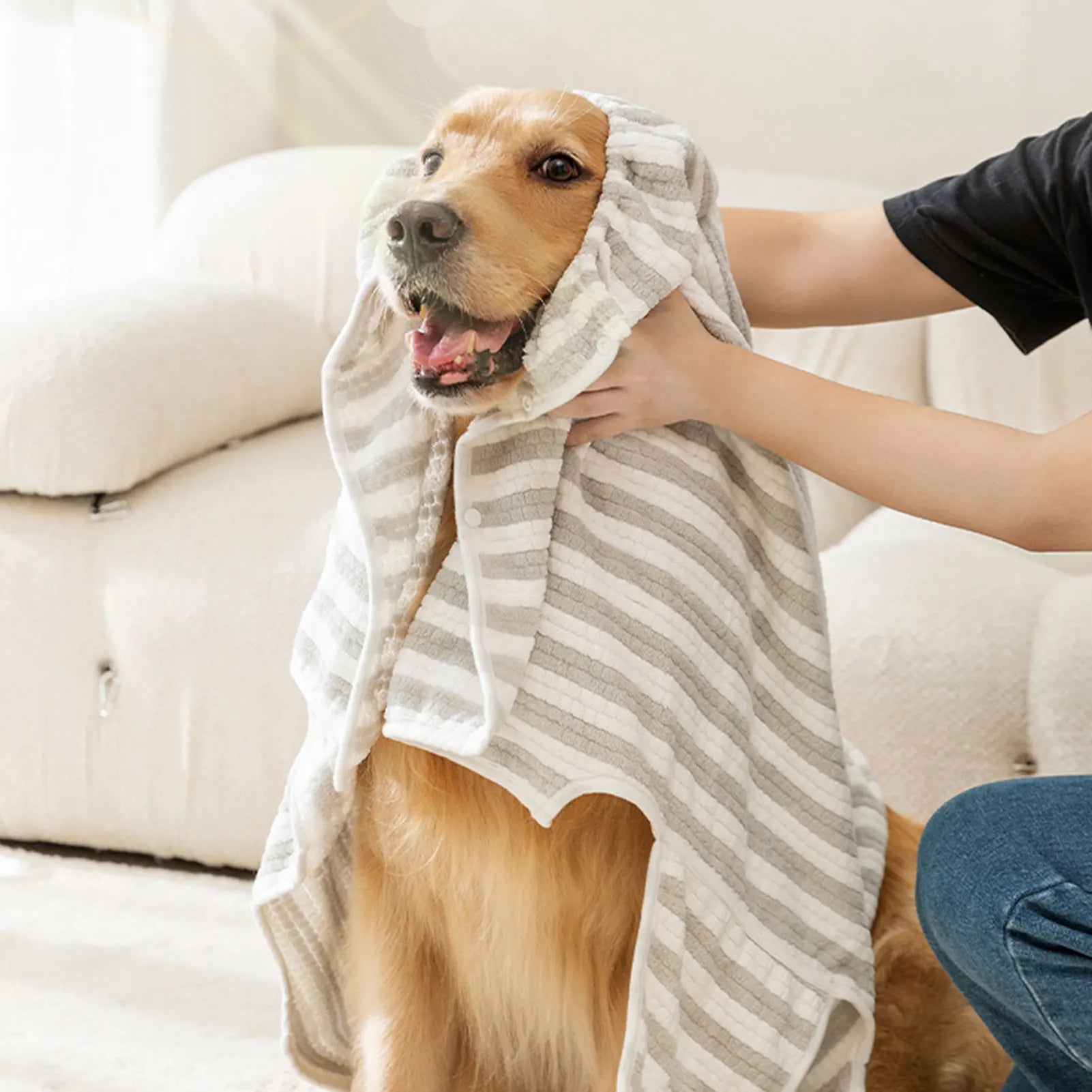 Serviette de bain pour chien 1
