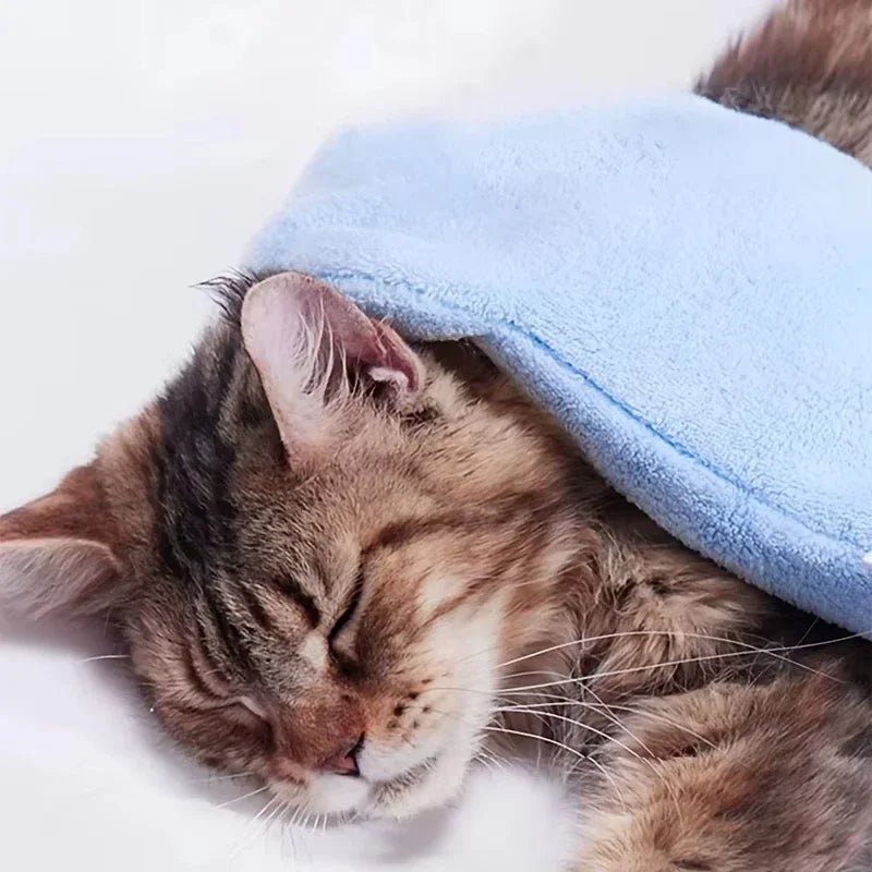 Serviette gant pour animaux